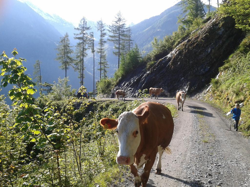 Feriendorf Ponyhof Fusch an der Grossglocknerstrasse Buitenkant foto