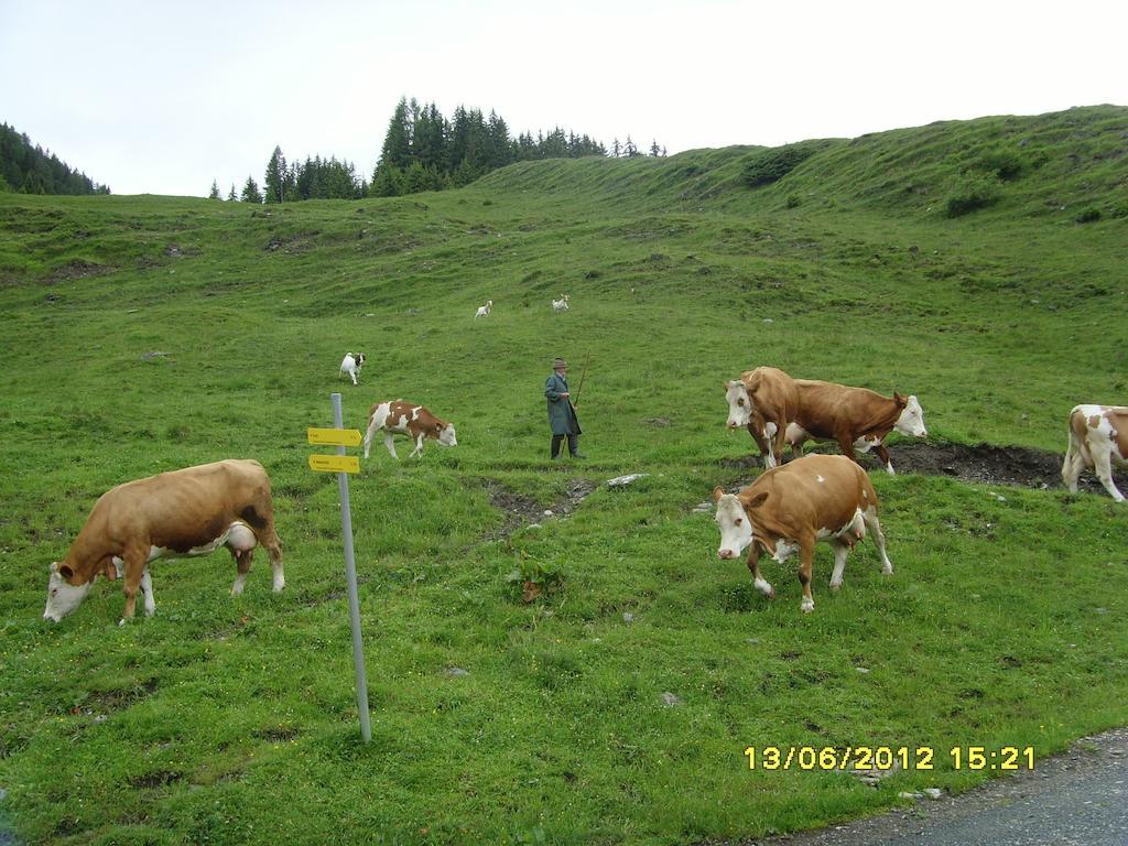 Feriendorf Ponyhof Fusch an der Grossglocknerstrasse Buitenkant foto